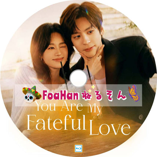 You Are My Fateful Love　💗字幕レベルがUPしました