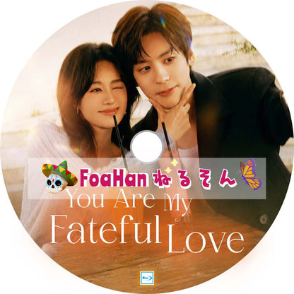 You Are My Fateful Love　💗字幕レベルがUPしました