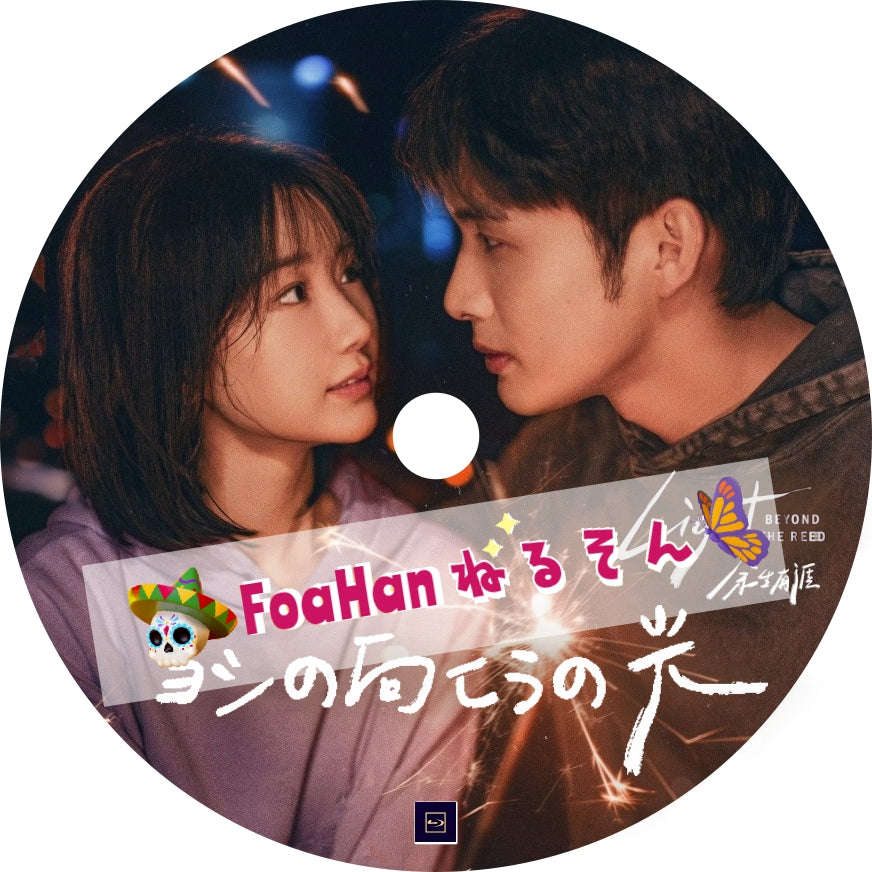 ヨシの向こうの光