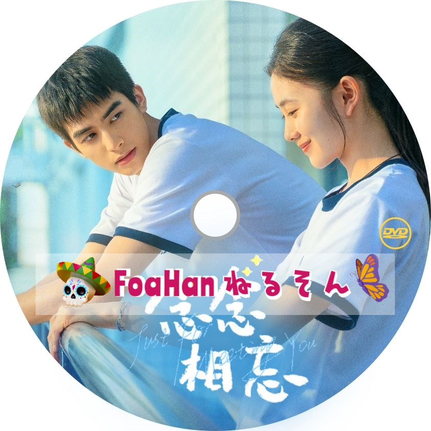 中国映画　念念相忘　Just For Meeting You